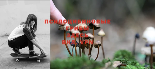 гашик Алзамай