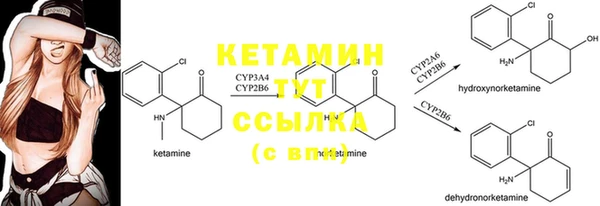 твердый Инсар